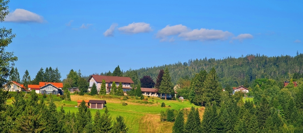 Ayurveda Kuren mit Panchakarma in Deutschland und Sri Lanka